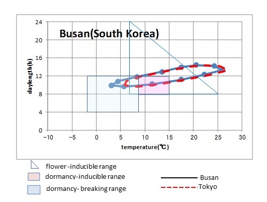 climate in Busan