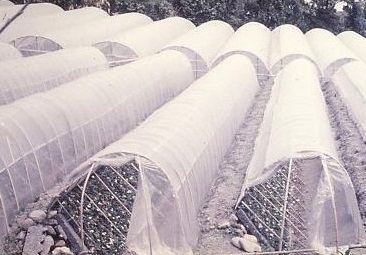 cement block culture