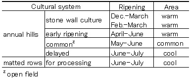 cultural system 1960