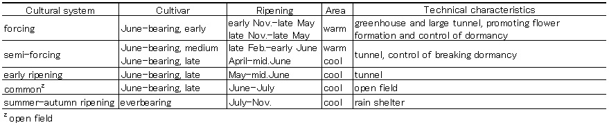 cultural system 2010