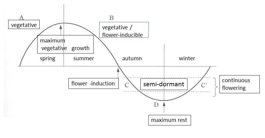 annualdevelopment cycle