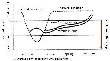 dormancy and flowering
