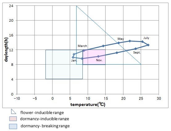 climate in Tokyo